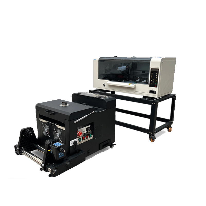 Commercial Dtf Printing - Powder Sharker'lı Çift Kafalı XP600 A3